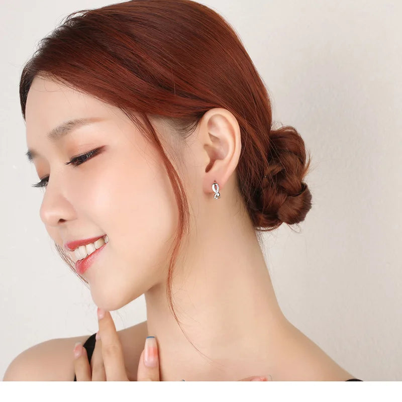 New 925 Sterling Silver Shining Zircon Earrings Women'S Circle Round Earrings Fashionable And Elegant Jewelry Birthday Gift