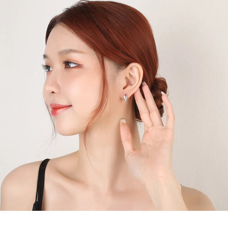 New 925 Sterling Silver Shining Zircon Earrings Women'S Circle Round Earrings Fashionable And Elegant Jewelry Birthday Gift