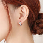 New 925 Sterling Silver Shining Zircon Earrings Women'S Circle Round Earrings Fashionable And Elegant Jewelry Birthday Gift